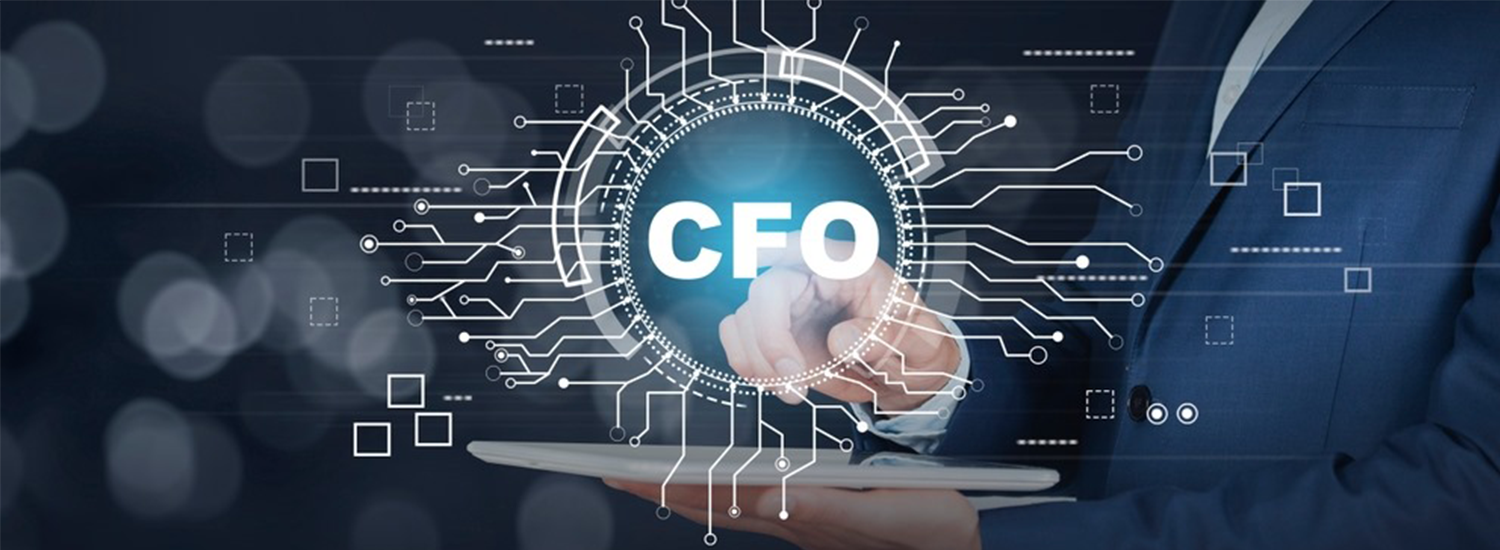 Virtual CFO Services