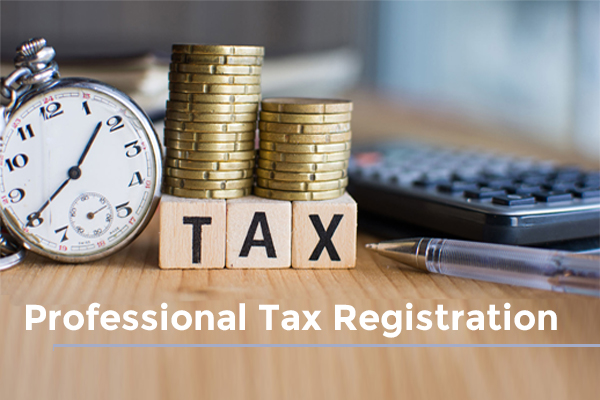 Professional Tax Registration