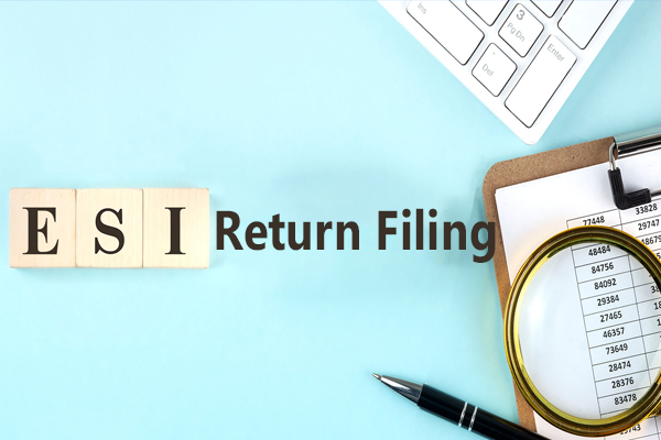 ESI Return Filing