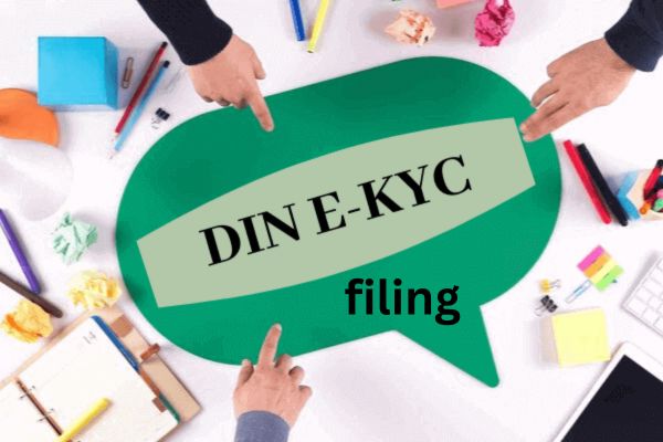 DIN eKYC Filing