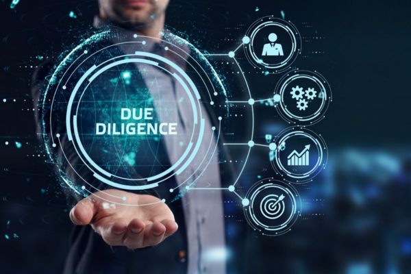 Due Diligence