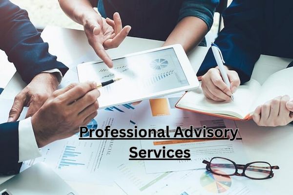 Professional Advisory Services